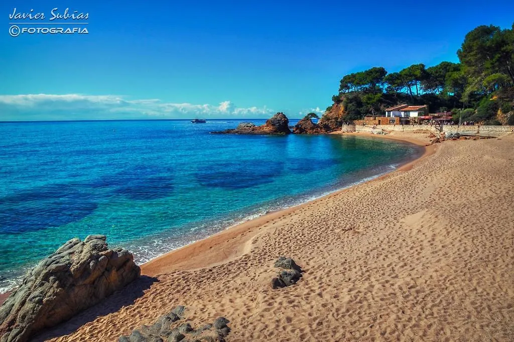 Apartamento Pere Codina Apartment Lloret de Mar Spain